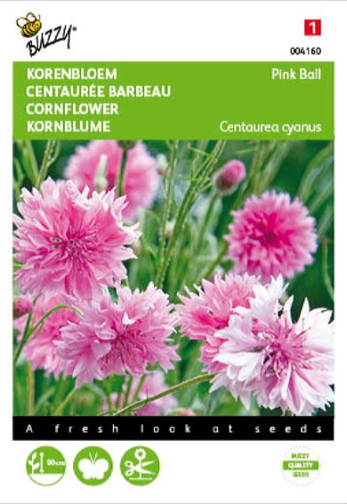 Korenbloem Pink Ball (Centaurea cyanus) 200 zaden BU